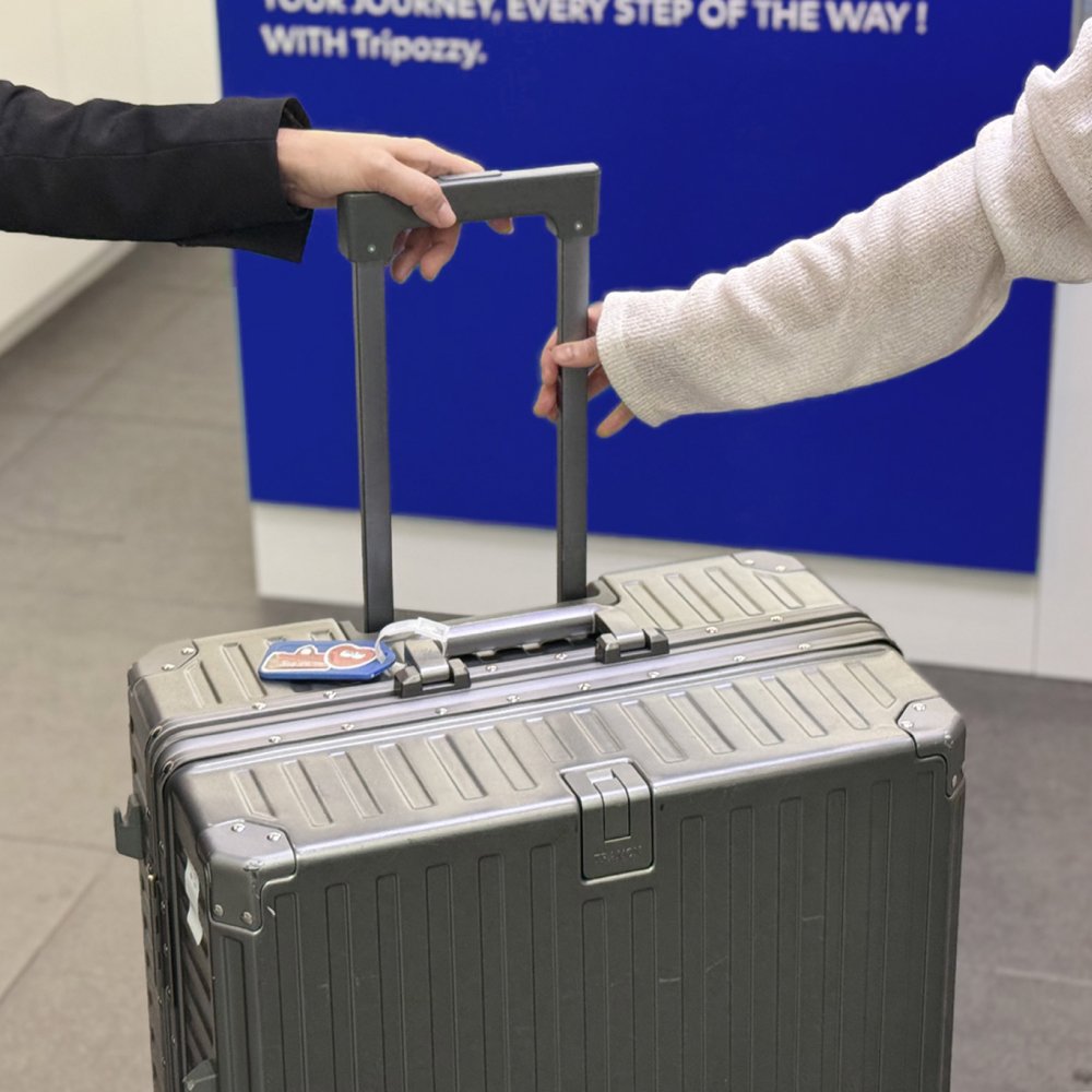 시드니 여행 꿀팁